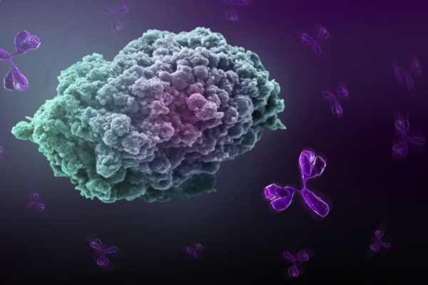immuno-oncology-tumor-antibodies-image immuno-oncology-tumor-antibodies-image